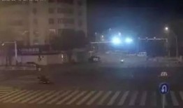 吃瓜最新事件爆料宁德